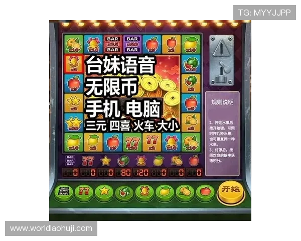 电脑版老虎机单机版适合新手吗，入门指南与实用技巧推荐